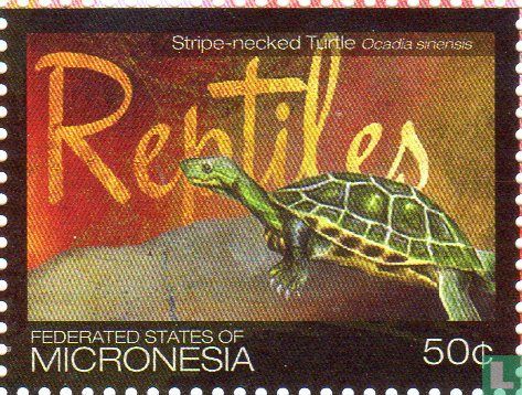 Reptiles