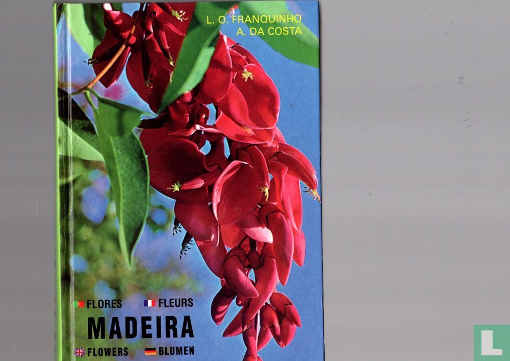 Madeira plantas e flores