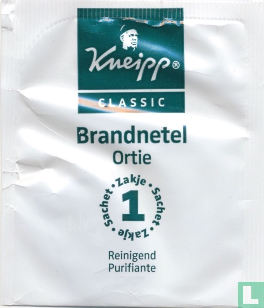 Brandnetel