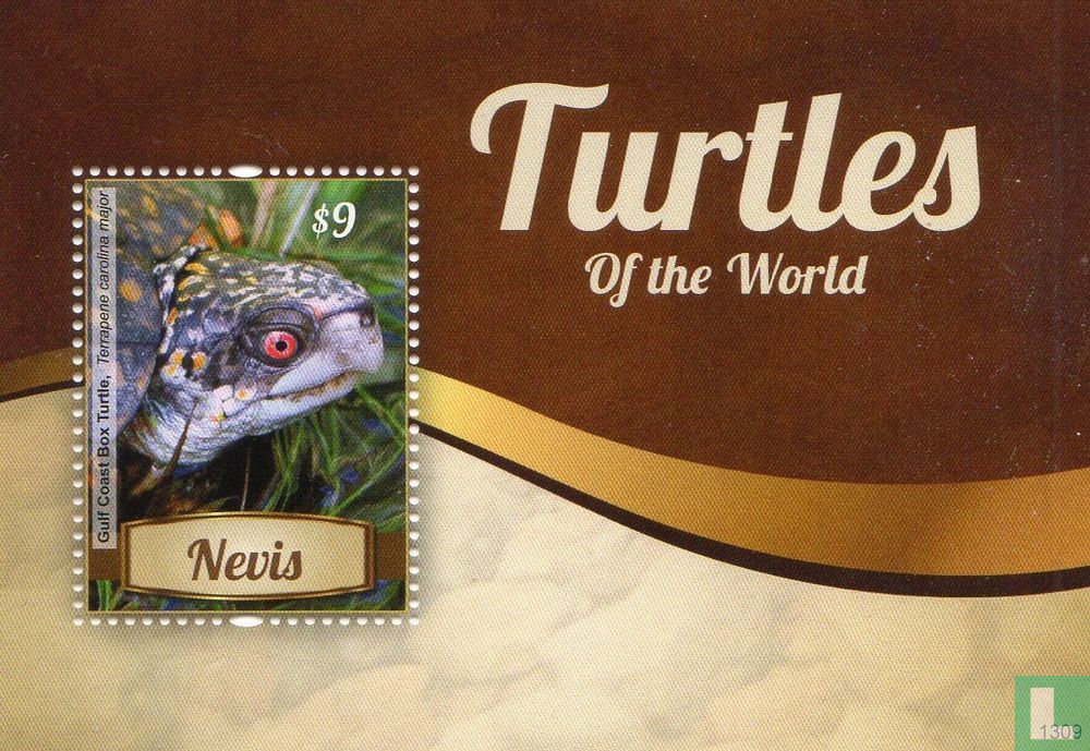 Tortues