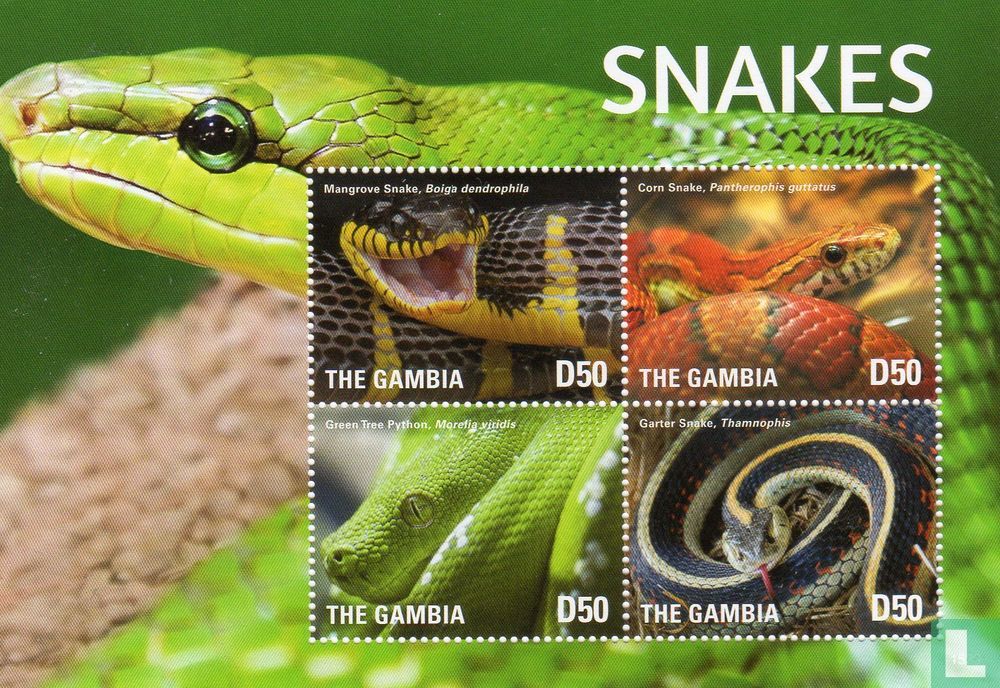 Snakes