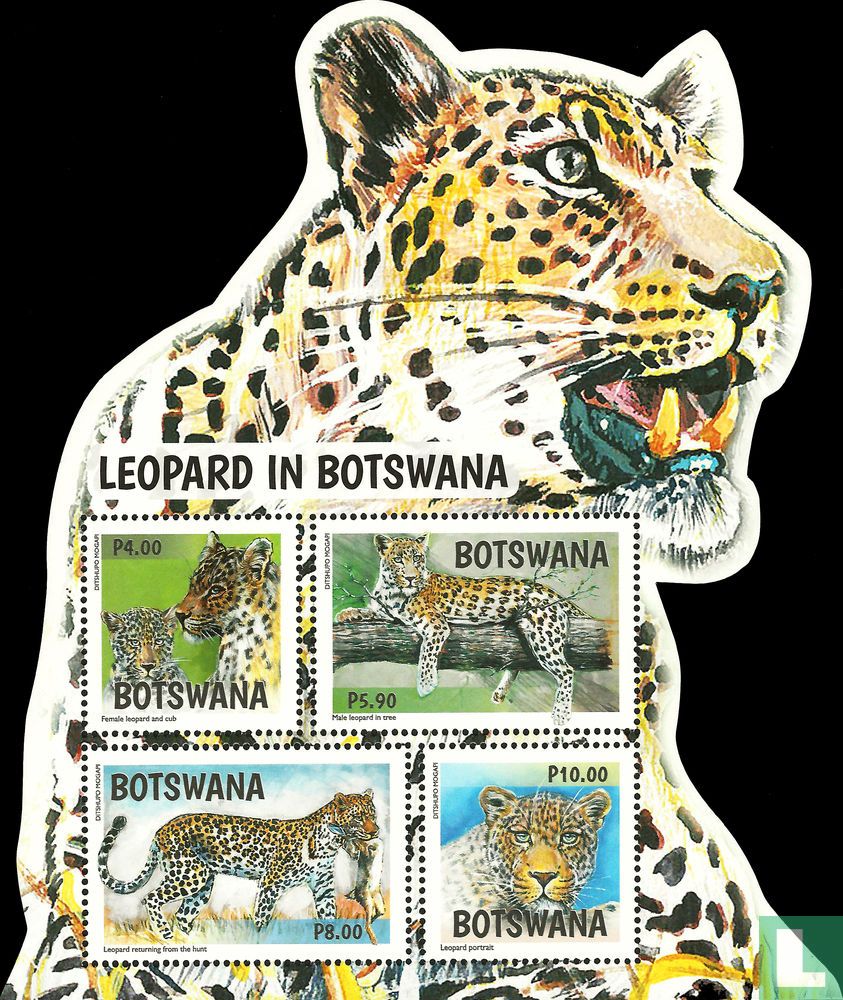 Leopards