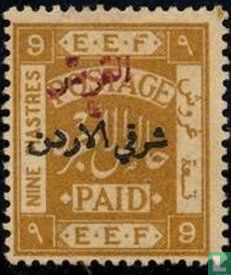 Palestine avec surcharge
