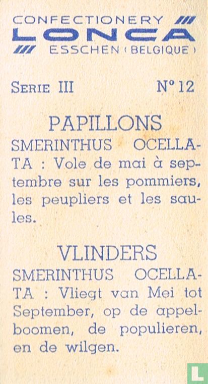 Smerinthus ocellata