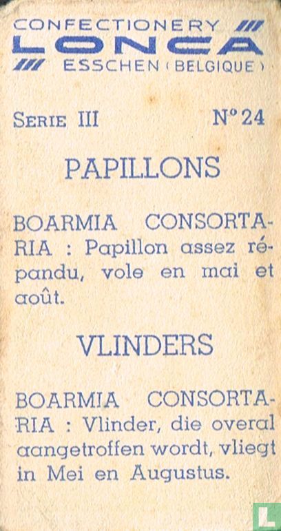 Boarmia consortaria