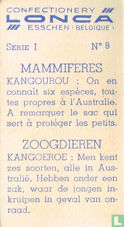 Kangoeroe
