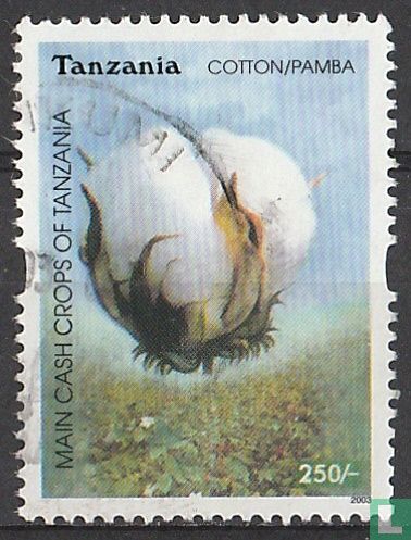 Cotton
