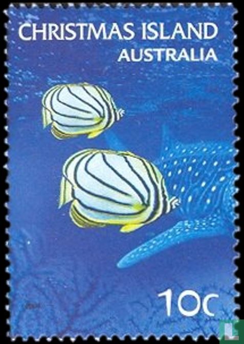 récif de corail