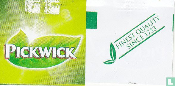 Green Tea, Cucumber Taste & Mint 