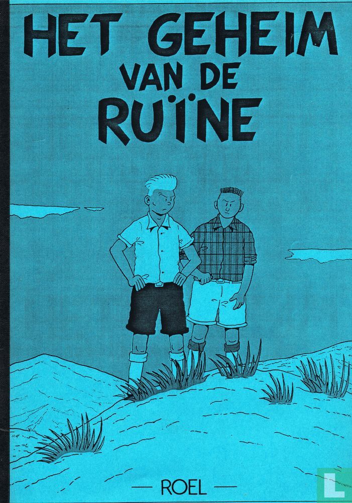 Het geheim van de ruïne 