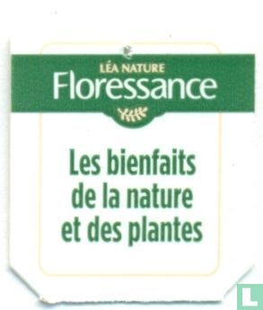 Kilos Tenaces Thé Tuocha + 7 plantes - Floressance