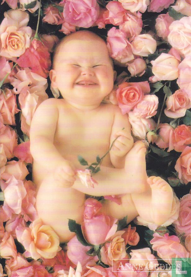 Anne Geddes: 048