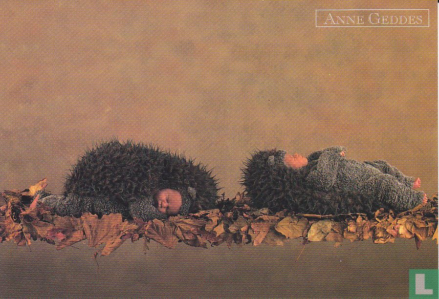 Anne Geddes: 106