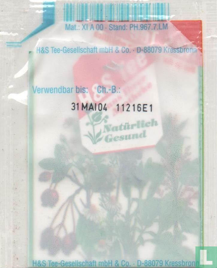 Schachtel-halmkraut