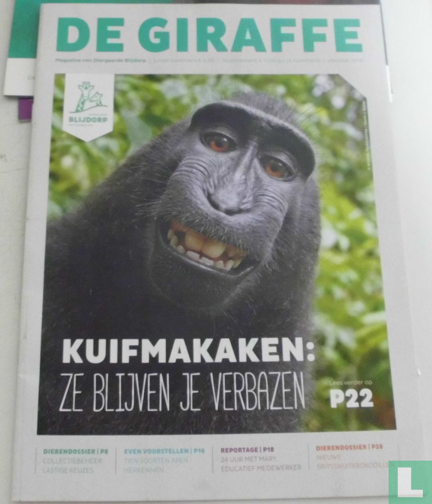 De giraffe 1