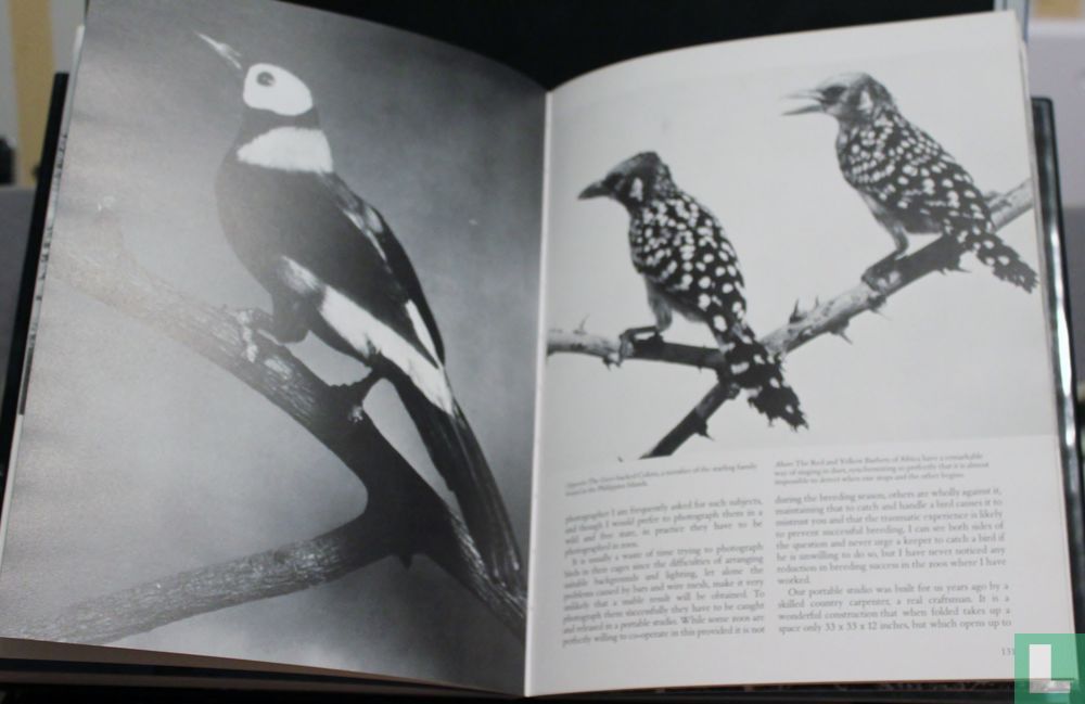 Eric Hosking's Birds