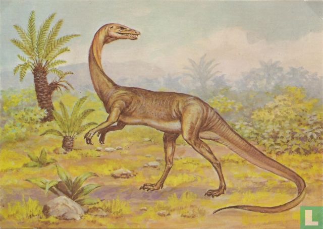 Coelophysis