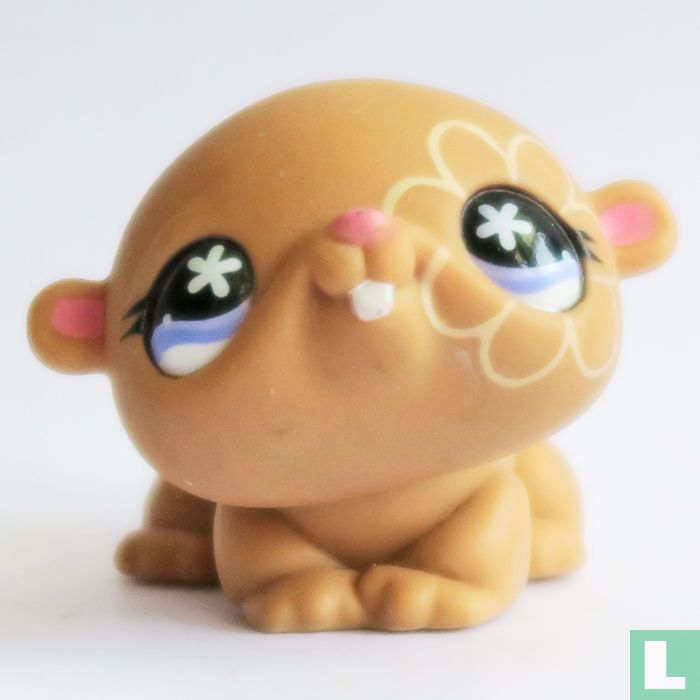 Hamster