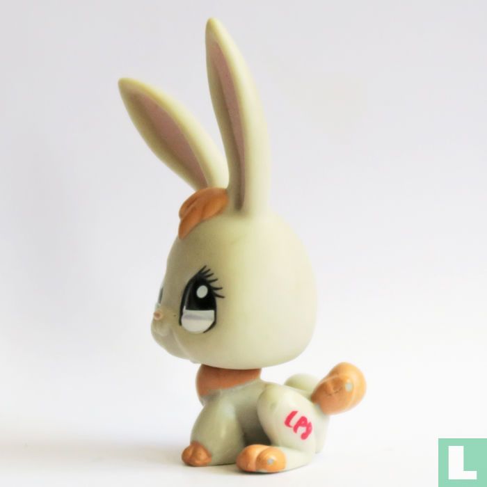 lapin 