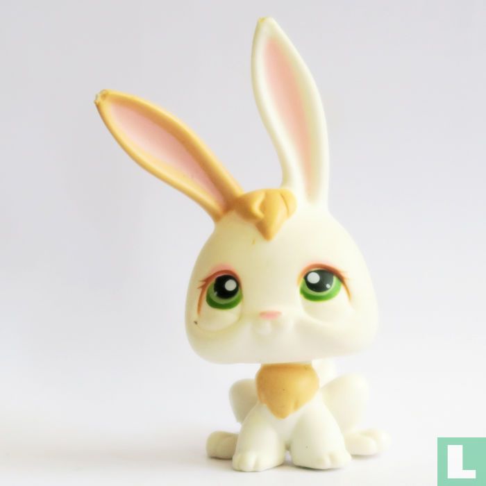 rabbit