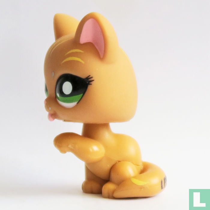 Short-haired cat