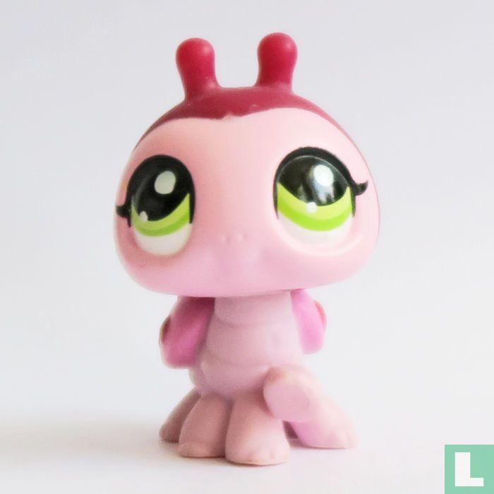 Ladybug