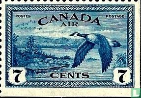 Canada Goose