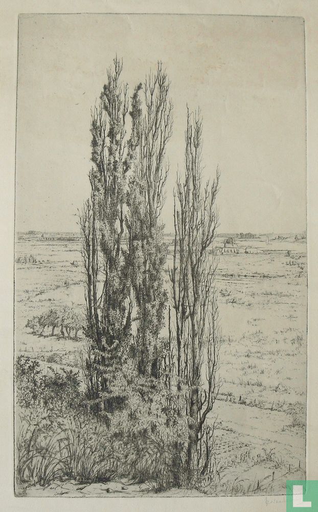 Landschap met populieren