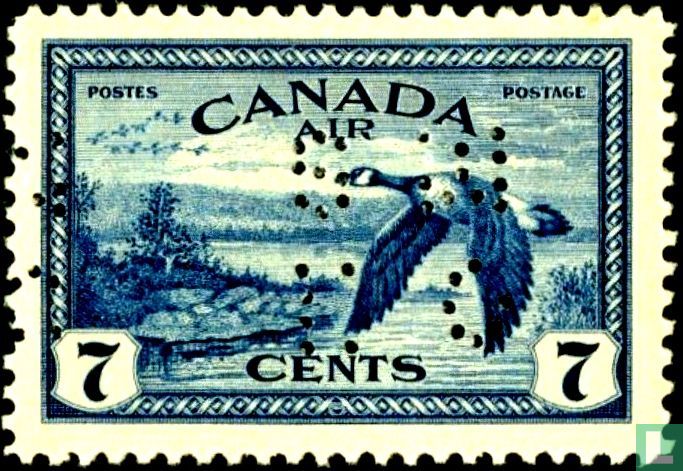 Canada Goose