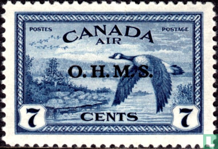 Canada Goose
