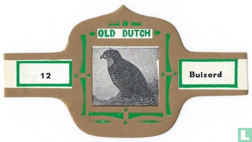 Buizerd