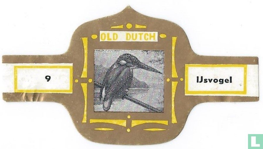 IJsvogel