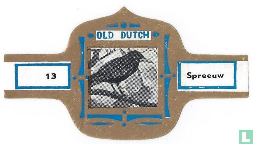 Spreeuw