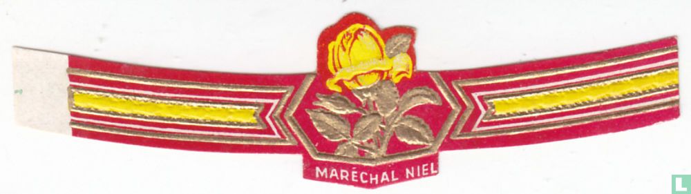 Maréchal Niel