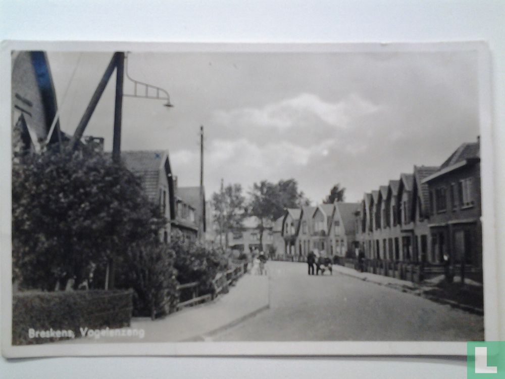Vogelenzang