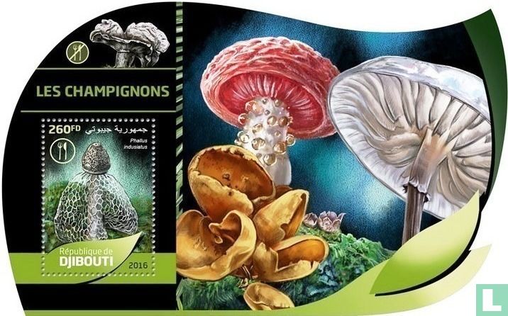 Les champignons