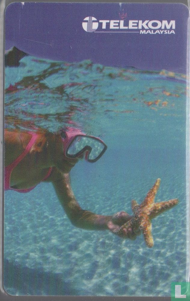 Sea Star