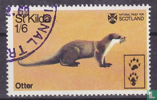 St. Kilda Otter
