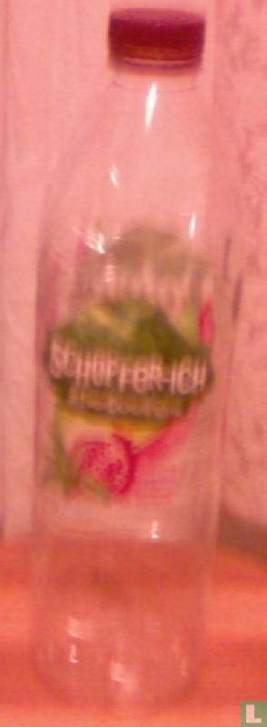 VOLVIC TEE