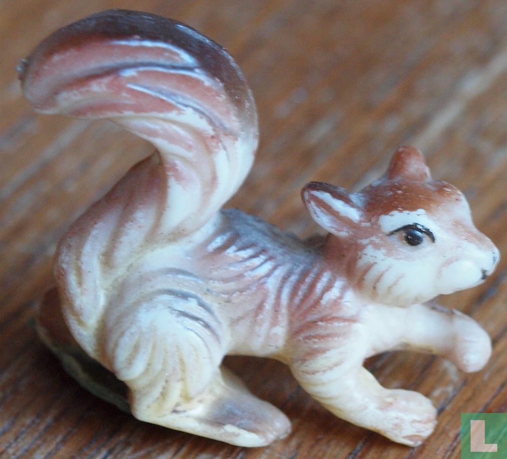 Eichhörnchen