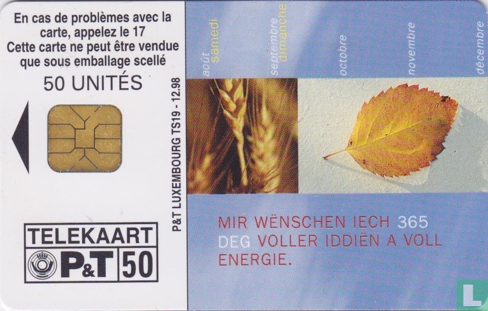 Bonne Année 1999 !