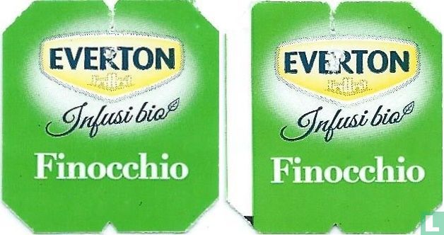 Finocchio 