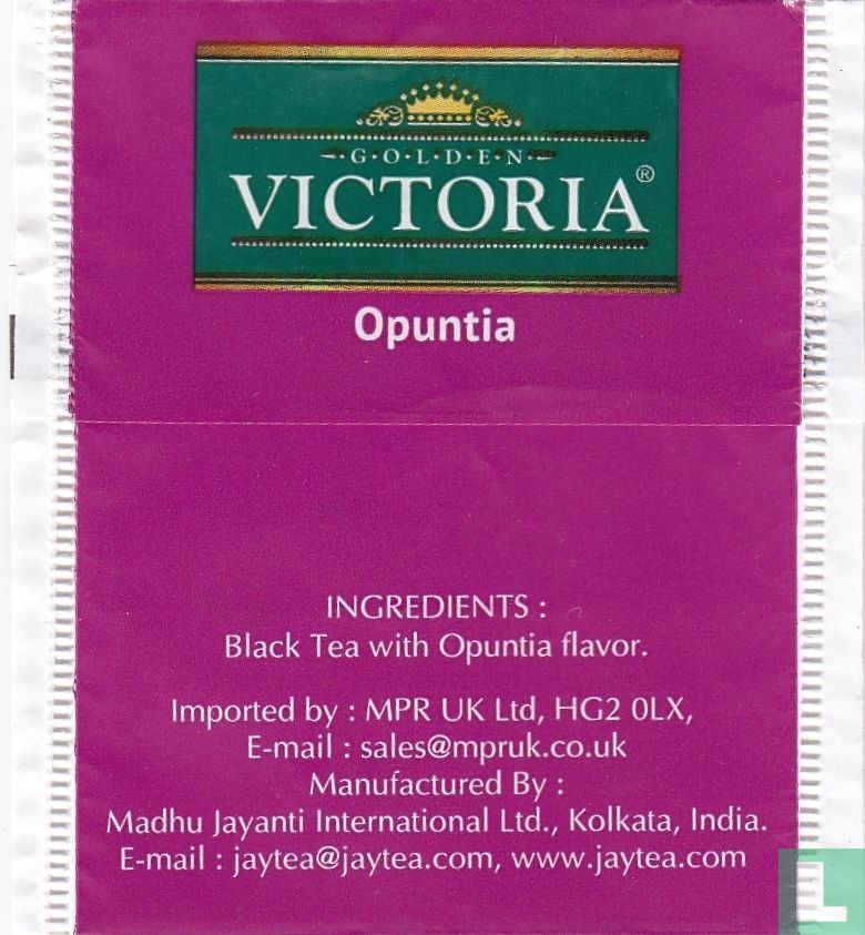 Opuntia