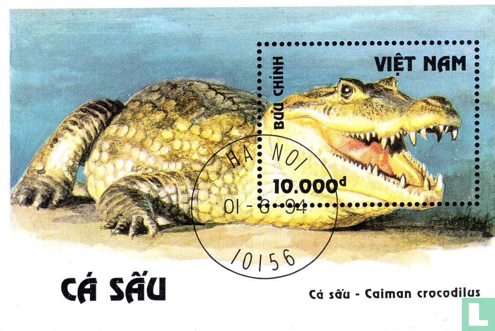Crocodiles