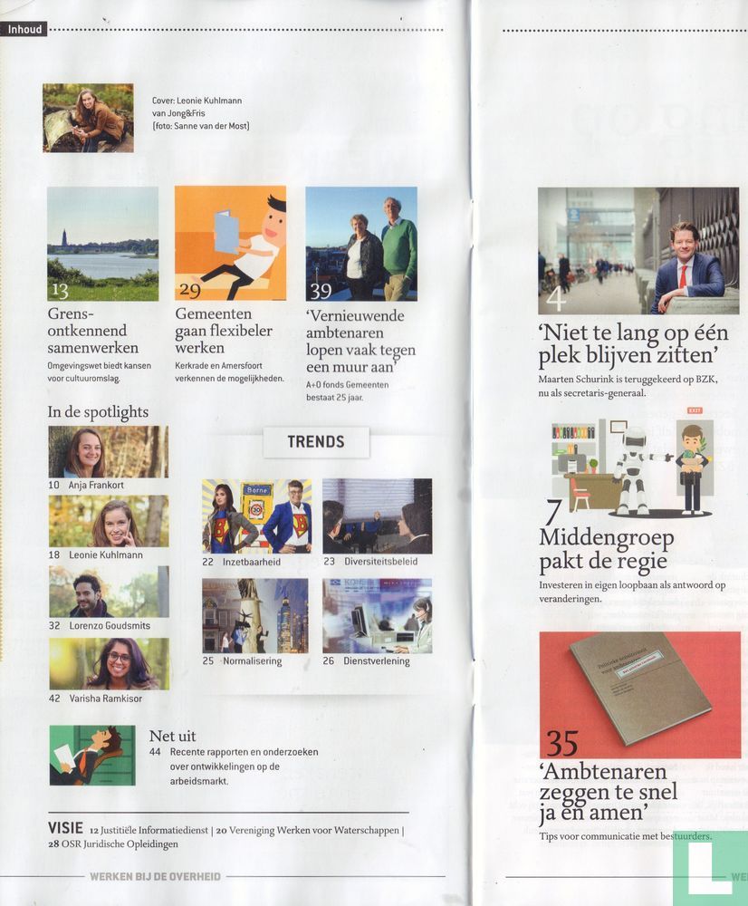 Werken bij de overheid