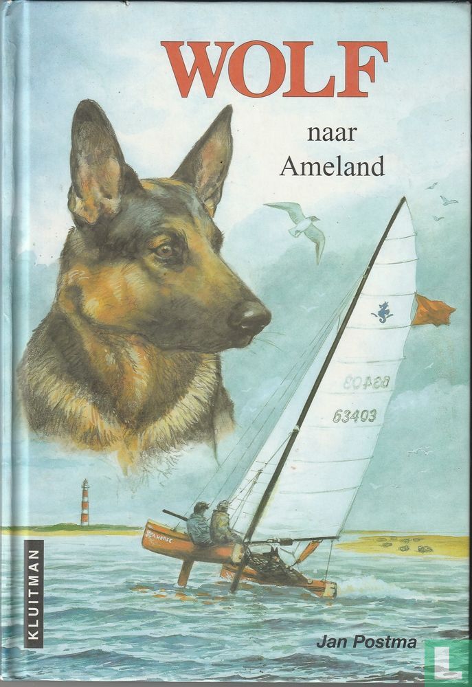 Wolf naar Ameland