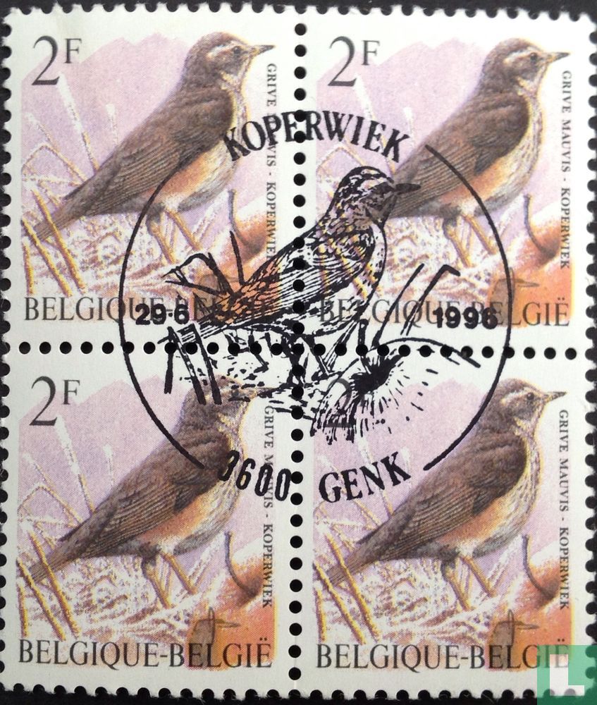 Birds