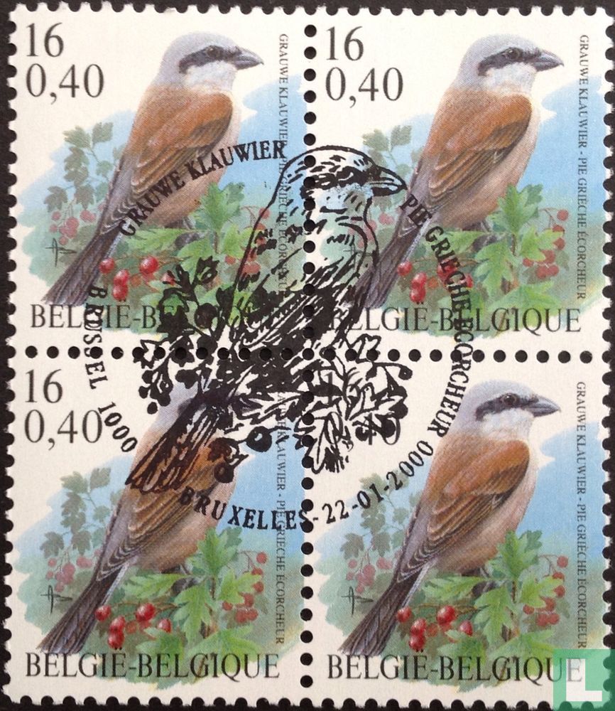 Birds
