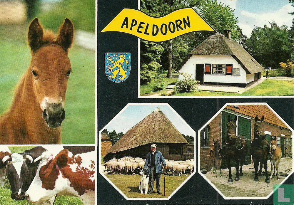 Apeldoorn