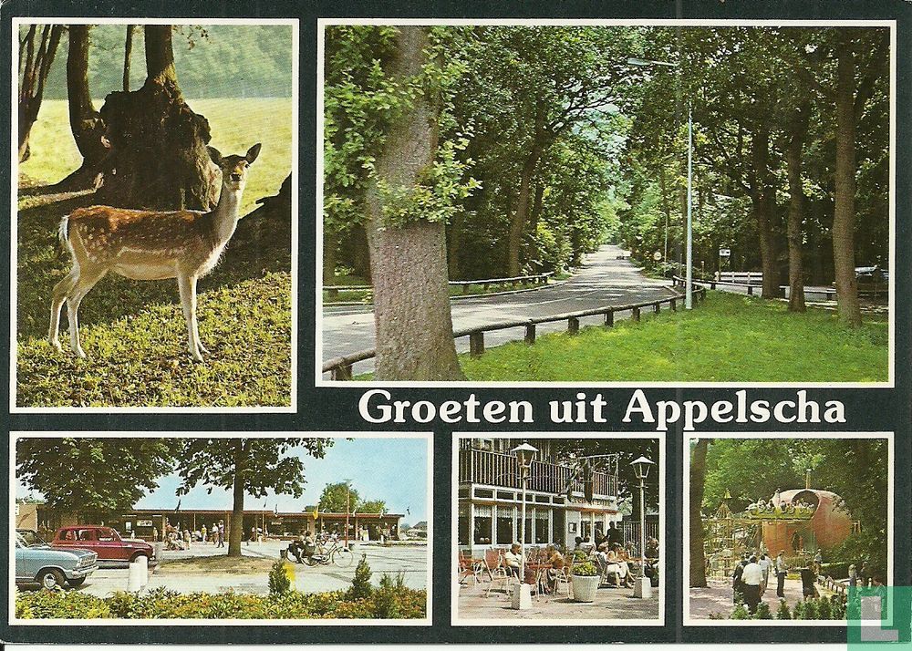 Groeten uit Appelscha 